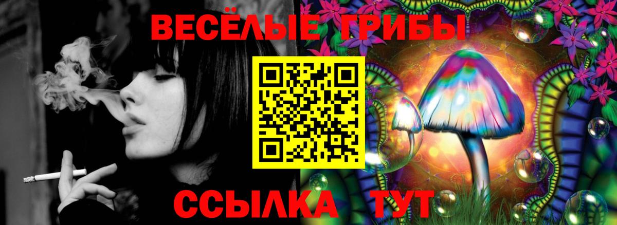 Псилоцибиновые грибы ЛСД Елабуга