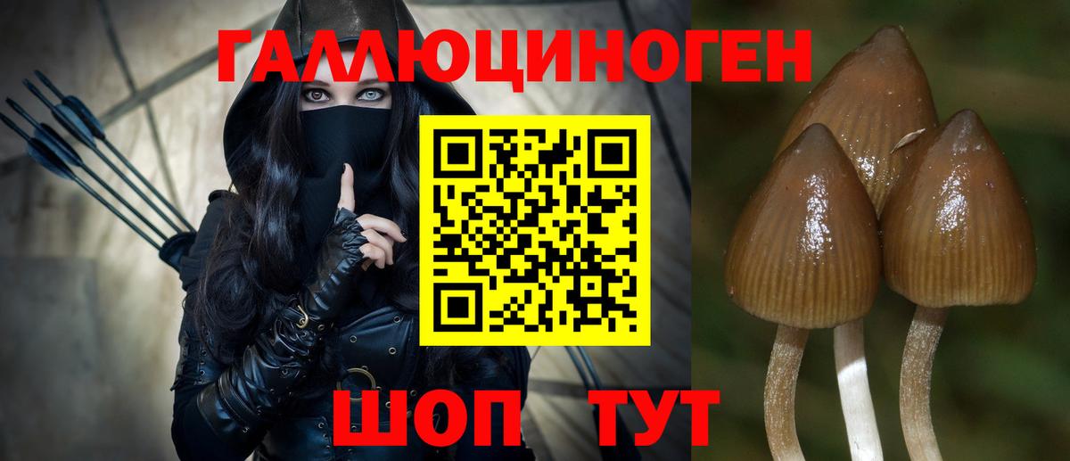 Галлюциногенные грибы GOLDEN TEACHER  закладка  Елабуга  Вход с VPN 